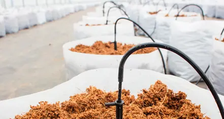 ENVIOS A TODO EL MUNDO