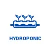 hidroponia