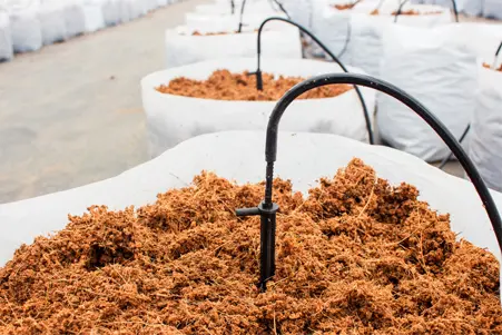 services pH contrôle d