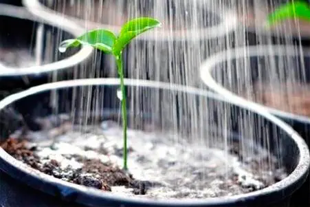 services 13 hydroponics