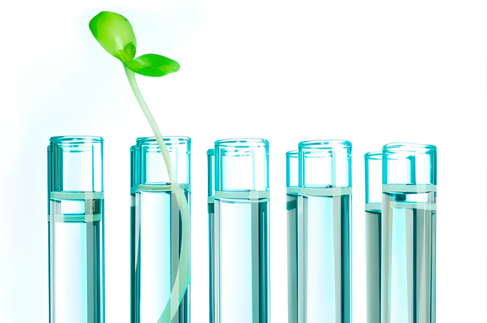 HERSTELLER UND INSTALLATEURE VON BEWÄSSERUNGSSYSTEMEN 02 ec