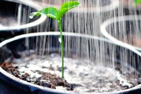 Verbessern Sie Ihr Bewässerungssystem