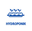 hidroponia