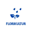 floricultura