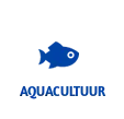 acuicultura